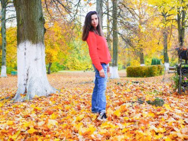 Parkta düşmüş sarı yapraklı bir arka planda genç bir kız. Yüksek kalite fotoğraf