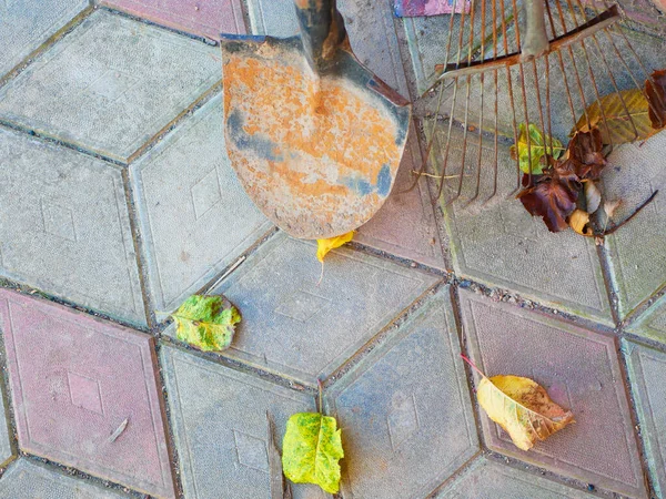 Ржавая Лопата Осенние Листья Высокое Качество Фото — стоковое фото