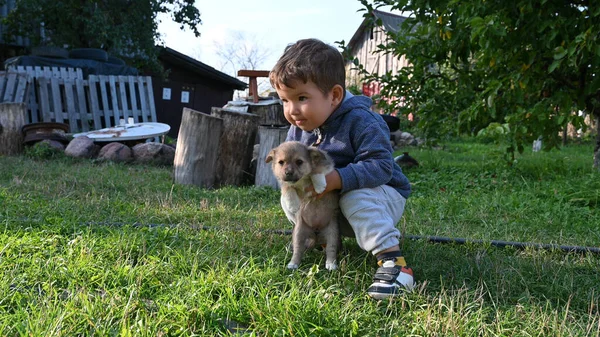 Enfant Serre Chiot Dans Ses Bras Photo Haute Qualité — Photo