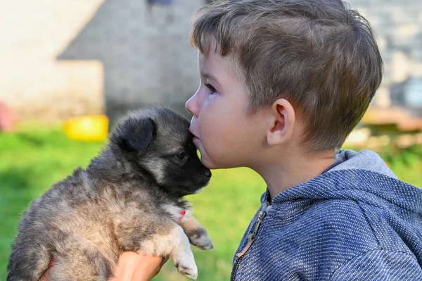 Enfant Embrassant Petit Chien Chiot Photo Haute Qualité — Photo