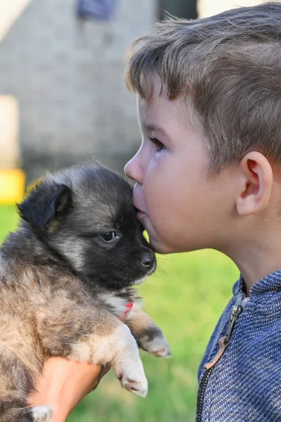 Enfant Embrassant Petit Chien Chiot Photo Haute Qualité — Photo