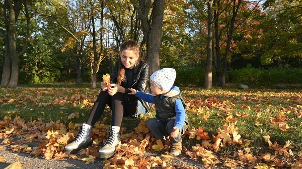 Enfant Avec Mère Jouent Avec Les Feuilles Dans Parc Automne — Photo