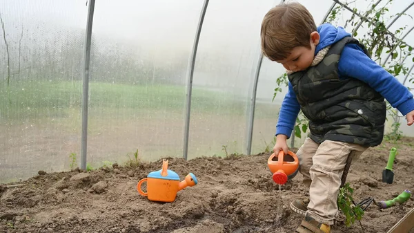 Enfant Verse Arrosoir Dans Serre Photo Haute Qualité — Photo