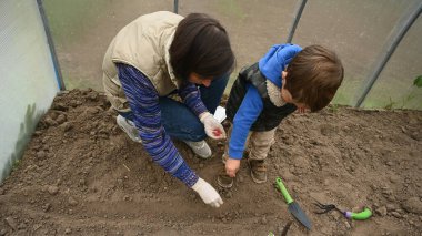 Serada kuru zemini sulayan bir çocuk. Yüksek kalite fotoğraf