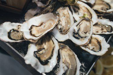 Taze soğuk deniz istiridyeleri