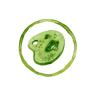 Daireli suluboya palet. Elle boyanmış resim