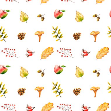 Suluboya mantarlı kusursuz desen, yapraklar, rowan, meşe palamudu, elma, gül ağacı, koni. Resim beyaza izole edilmiş. El yapımı sonbahar öğeleri duvar kâğıdı, klasik tasarım, kumaş tekstil için mükemmel.