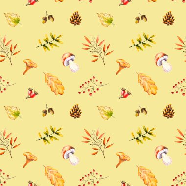 Suluboya mantarlı, yapraklı, rowan, meşe palamudu, güllük gülistanlık. Görüntü izole edildi. El yapımı sonbahar eşyaları duvar kağıdı, klasik tasarım, kumaş tekstil, poster için mükemmel.