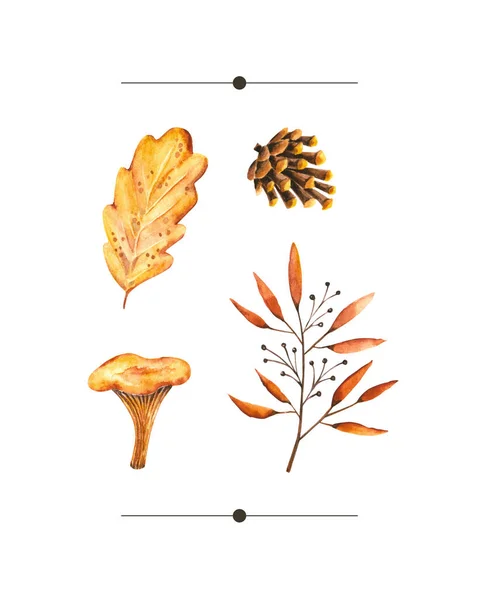 Aquarell Herbst Set Mit Aquarellzweigen Blättern Tannenzapfen Pilzen Illustration Isoliert — Stockfoto