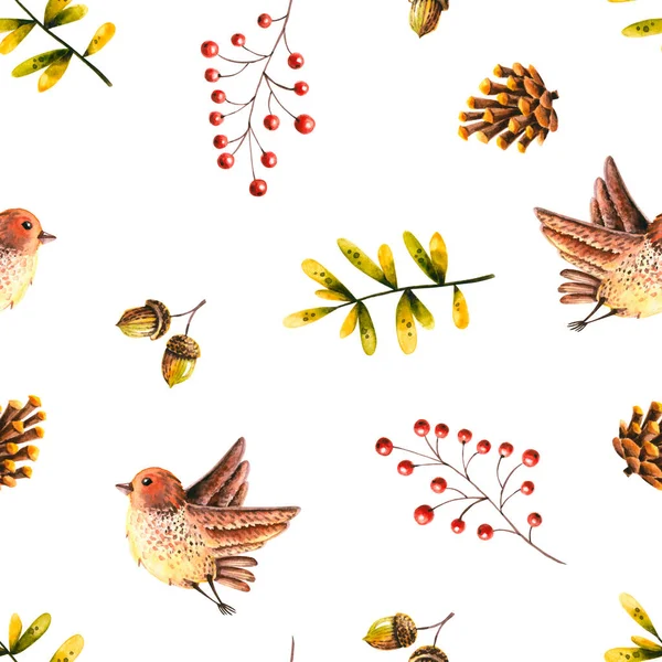 Nahtloses Muster Mit Aquarell Vögeln Blättern Eberesche Eichel Kegel Illustration — Stockfoto