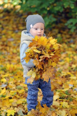 İki yıl yaşlı çocuk ayakta üzerinde düşen sonbahar yaprakları