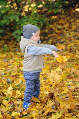 İki yıl yaşlı çocuk ayakta üzerinde düşen sonbahar yaprakları
