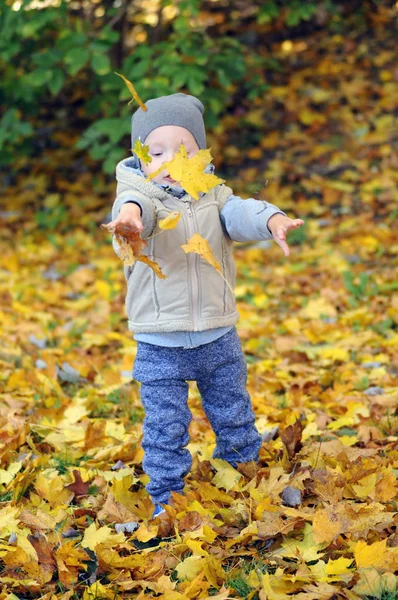 İki yıl yaşlı çocuk ayakta üzerinde düşen sonbahar yaprakları