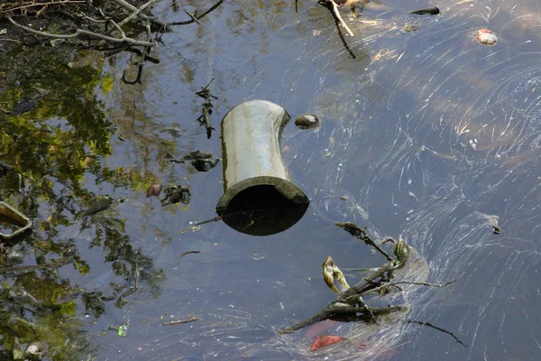 Barril flotante en el río contaminado —  Fotos de Stock