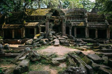 Tapınaklar Angkor Wat, Kamboçya, ta Prohm, Siem Reap