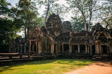 Tapınaklar Angkor Wat, Kamboçya, ta Prohm, Siem Reap