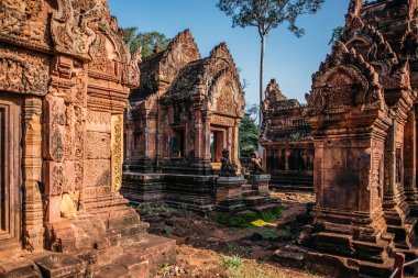 Tapınaklar Angkor Wat, Kamboçya, ta Prohm, Siem Reap