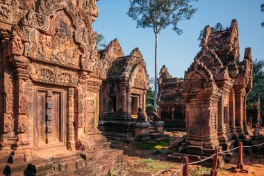 Tapınaklar Angkor Wat, Kamboçya, ta Prohm, Siem Reap