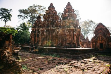 Tapınaklar Angkor Wat, Kamboçya, ta Prohm, Siem Reap