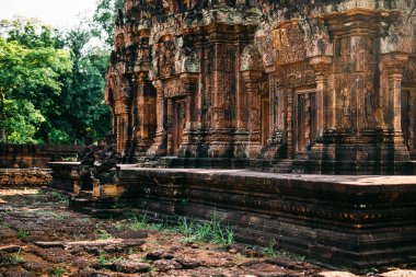 Tapınaklar Angkor Wat, Kamboçya, ta Prohm, Siem Reap