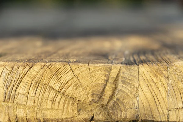 Oude hout ruwe textuur achtergrond met knopen met is — Stockfoto