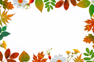 A simple foliage frame illustration. A simple and stylish way to add texture, freshness, color, fullness and earthy theme to all kinds of creative projects including wedding stationery, logos and branding, web design, blogs, packaging, Instagram and 