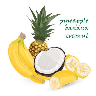 Ananas, muz, Hindistan cevizi, bütün ve beyaz arka plan üzerinde izole palmiye yaprakları taşlarla. Renkli botanik vektör halat. Vintage tropic tasarım.