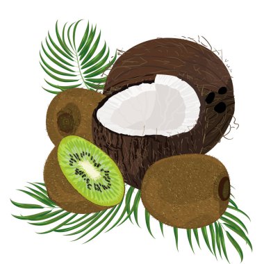 Kivi, Hindistan cevizi, bütün ve beyaz arka plan üzerinde izole palmiye yaprakları taşlarla. Renkli botanik vektör halat. Vintage tropic tasarım. Yaz orman moda dikişsiz desen için iyi fikir
