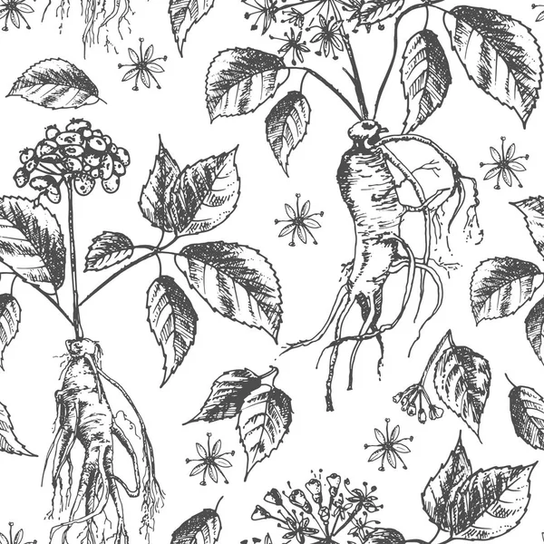 Croquis Encre Botanique Réaliste Motif Sans Couture Avec Racine Ginseng — Image vectorielle