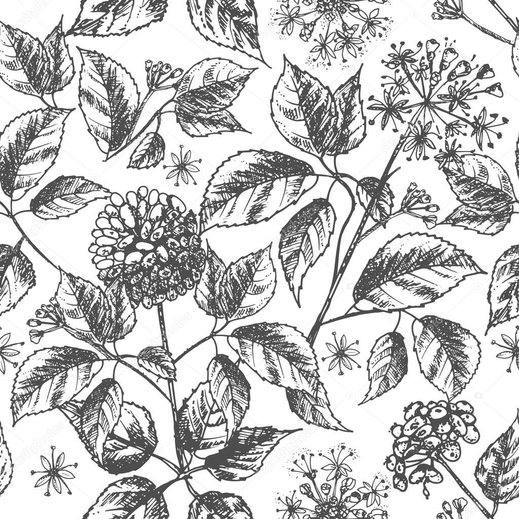 Realistic Botanical ink sketch seamless pattern with ginseng root, flowers, berries isolated on white, floral herbs collection. Traditional chinese medicine plant. Vintage rustic vector illustration.