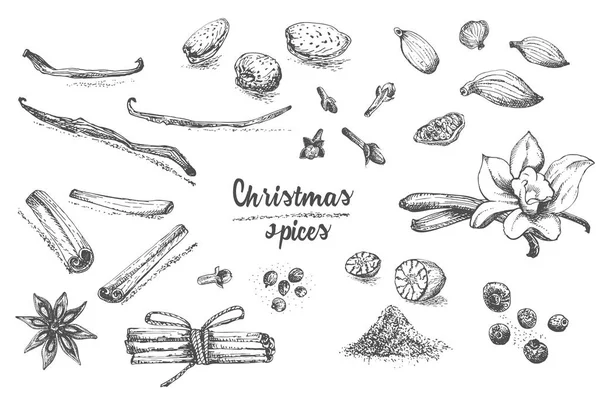 Conjunto Mão Desenhada Padrão Especiarias Inverno Natal Tradicionalmente Usado Sobremesas — Vetor de Stock