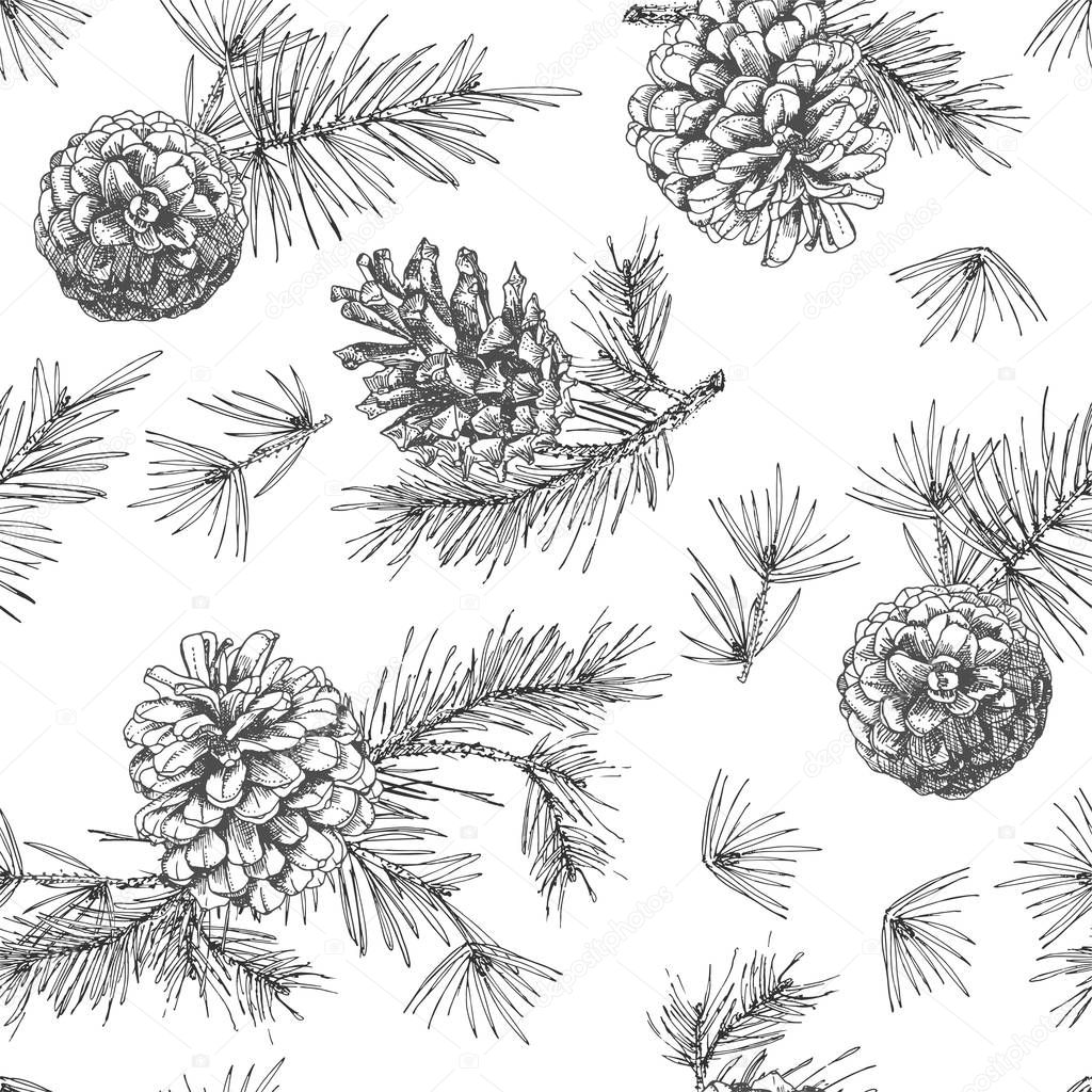 Realistic botanical ink sketch of fir tree branches with pine cone on white background. Seamless pattern. Good idea for templates invitations, greeting cards. Vector illustrations