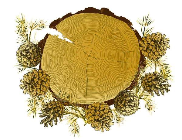 Szablon Karty Realistyczne Atrament Botaniczny Szkic Gałęzie Drzewa Jodły Złota — Wektor stockowy