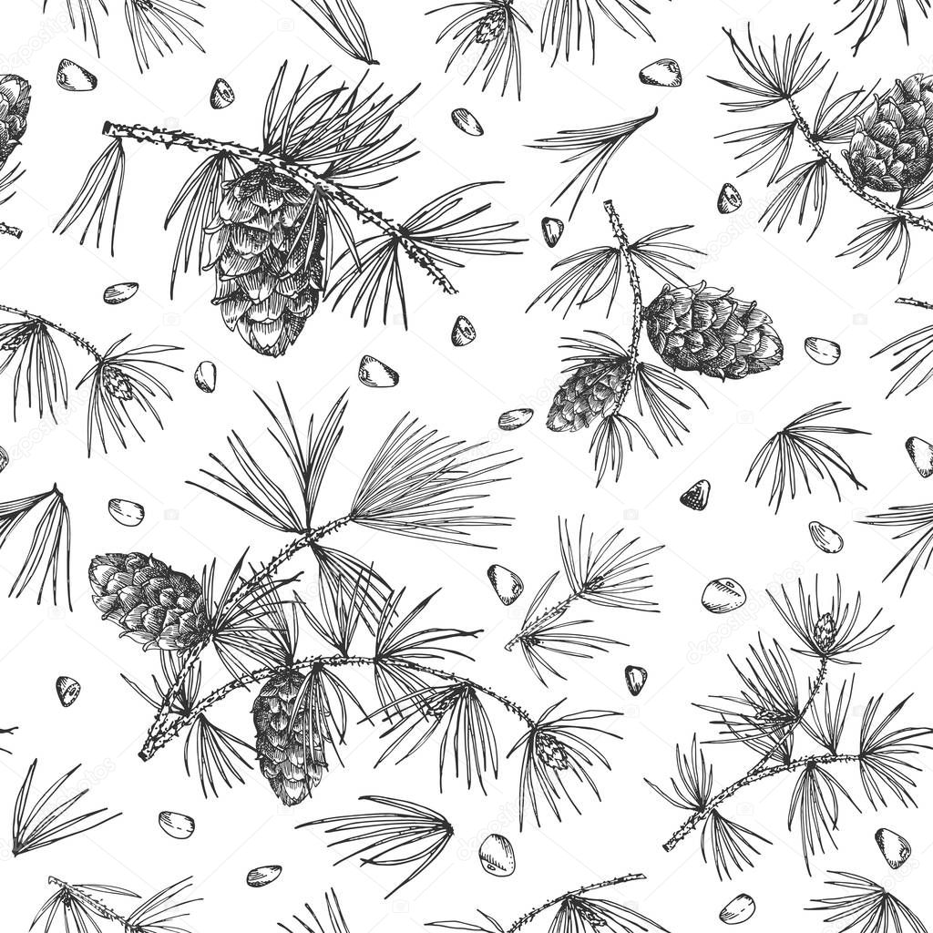 Seamless pattern with cedar branches and pinecones isolated on white background Good idea for vintage Merry christmas card new year conifer tree decorative design Vector illustration.