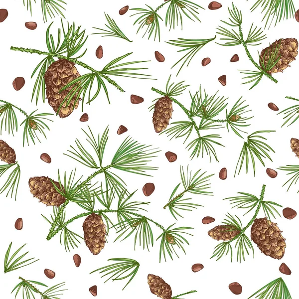 Varrat Nélküli Mintát Színes Cédrus Ágak Pinecones Elszigetelt Fehér Background — Stock Vector