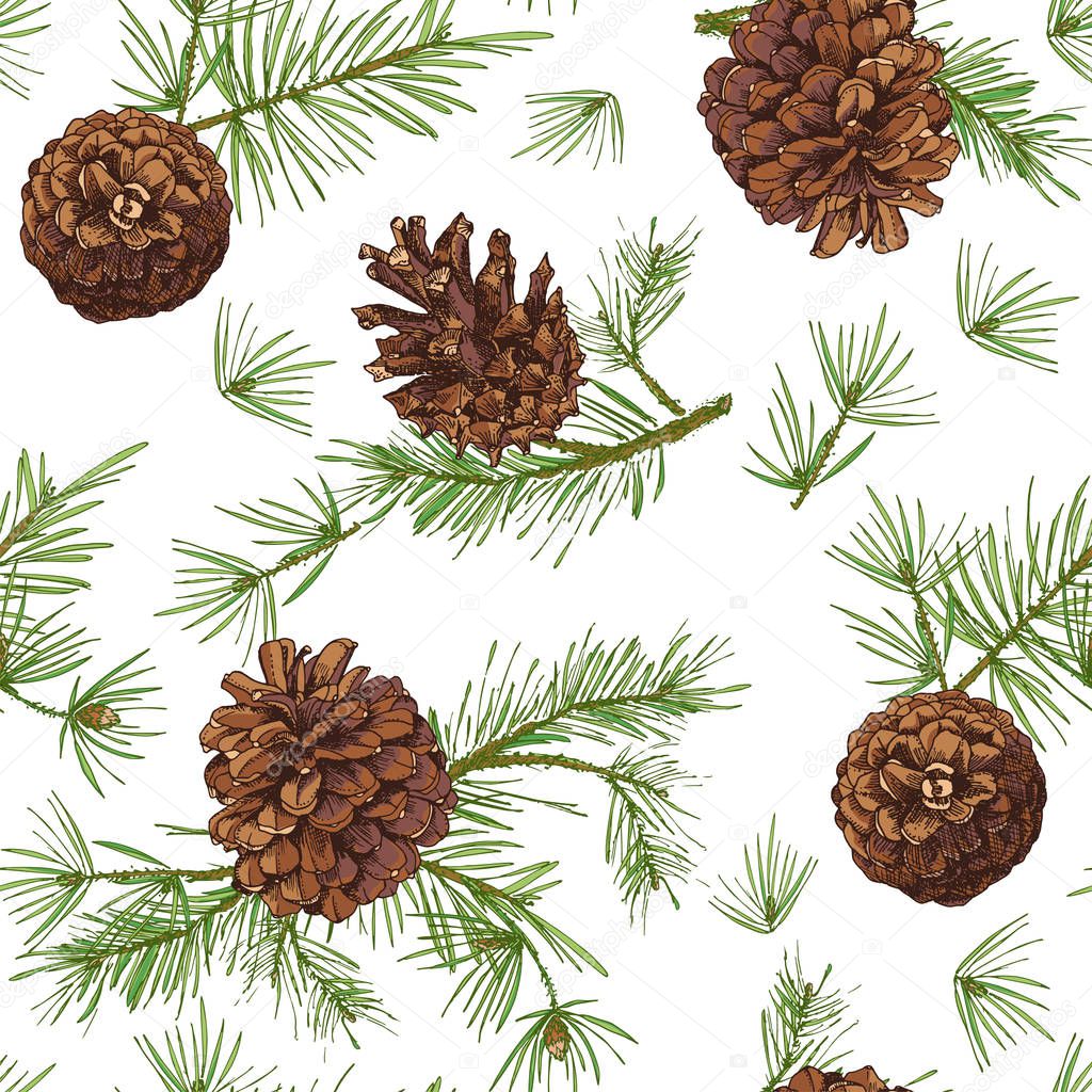 Seamless pattern with color fir tree branches with pine cone isolated on white background Good idea for vintage Merry christmas card new year conifer tree decorative design Vector illustration.