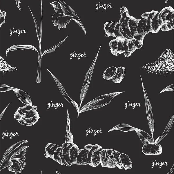 生姜根の手書きのシームレスなパターンは生活し 植物スケッチを描画 彫刻スタイル ブラック ボードにはレトロなビンテージ グラフィック デザインに分離された白いチョークの色の花します ベクトル図 — ストックベクタ