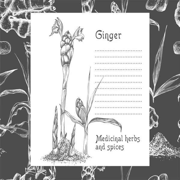 Set Handgezeichnet Von Ingwerwurzeln Leben Und Blumen Weißer Kreidefarbe Isoliert — Stockvektor