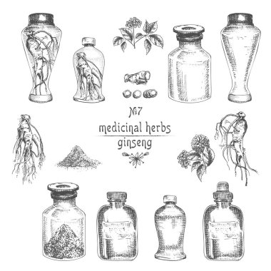 Ginseng kök, çiçek, çilek, şişe, harç ve beyaz arka plan üzerinde çiçek otlar koleksiyonu izole havaneli gerçekçi botanik mürekkep kroki. Tıp bitki. Vintage rustik vektör çizim.