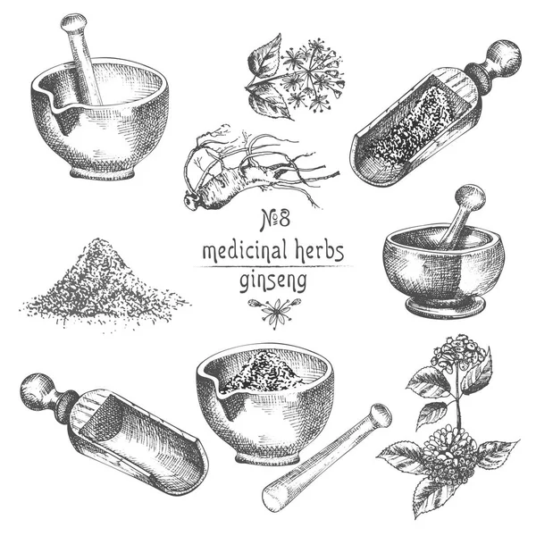 Ginseng kök, çiçek, çilek, şişe, harç ve beyaz arka plan üzerinde çiçek otlar koleksiyonu izole havaneli gerçekçi botanik mürekkep kroki. Tıp bitki. Vintage rustik vektör çizim.