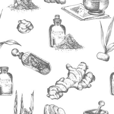 Dikişsiz desen elle çizilmiş zencefil kökleri, hayatlarını ve siyah renk beyaz arka plan üzerinde izole çiçeklenir. Retro vintage grafik tasarım botanik kroki çizim, stil oyma. Vektör çizim.
