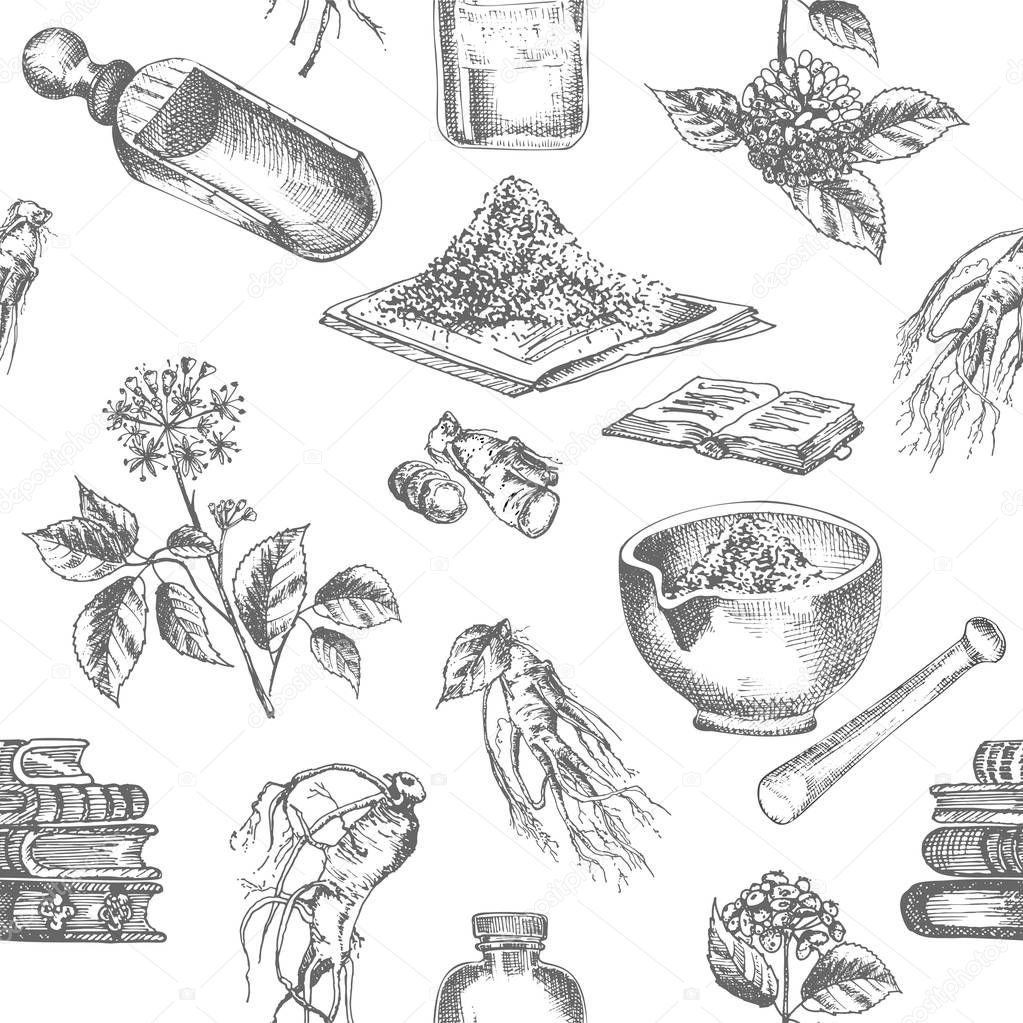 Seamless pattern realistic botanical ink sketch of ginseng root, flowers, berries, bottle, mortar and pestle isolated on white background, Medicine plant. Vintage rustic vector illustration.