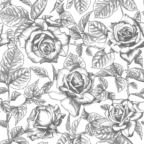 Nahtlose Muster Handgezeichnete Skizze Rosen Detaillierte Vintage Botanische Illustration Blumenrahmen — Stockvektor