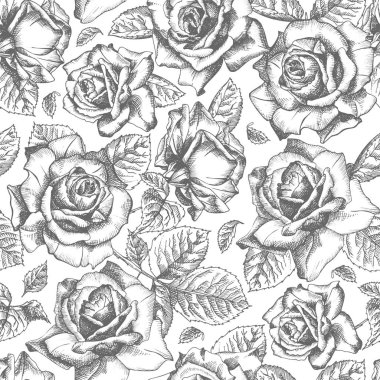 Dikişsiz desen elle çizilmiş kroki gül detaylı vintage botanik illuatration. Çerçeve çiçek. Beyaz arka planda siyah siluet isollated. Stil oyma içinde vektör yaratıcı grafik sanatı