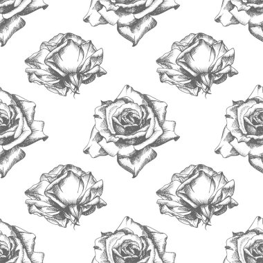 Dikişsiz desen elle çizilmiş kroki gül detaylı vintage botanik illuatration. Çerçeve çiçek. Beyaz arka planda siyah siluet isollated. Stil oyma içinde vektör yaratıcı grafik sanatı