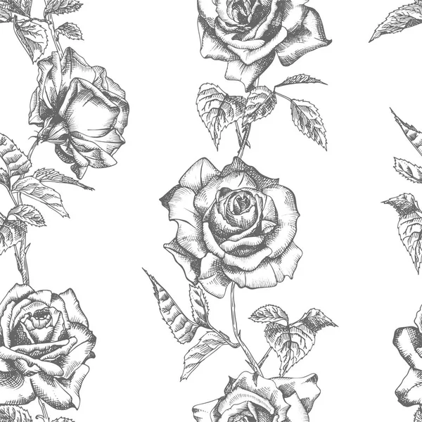 Seamless Pattern Hand Drawn Sketch Roses Detailed Vintage Botanical Illuatration — Stock Vector