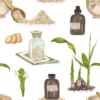 Renkli Seamless Modeli el zencefil kökleri, hayatlarını ve beyaz arka plan üzerinde izole çiçek çekilmiş. Retro vintage grafik tasarım botanik kroki çizim, stil oyma. Vektör çizim.