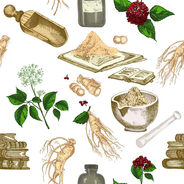 Patrón Inconsútil Colorido Realista Bosquejo Tinta Botánica Raíz Ginseng Flores — Vector de stock