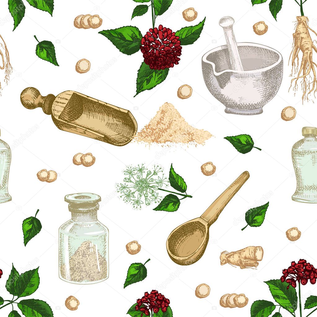 Colorful Seamless pattern realistic botanical ink sketch of ginseng root, flowers, berries, bottle, mortar and pestle isolated on white background, Medicine plant. Vintage rustic vector illustration.