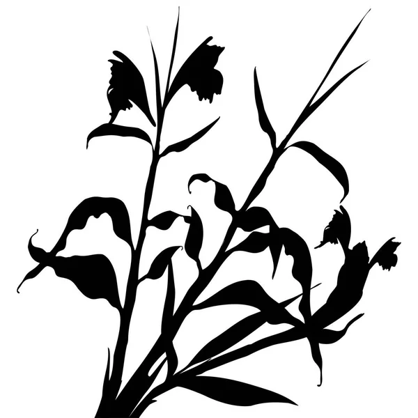 Motif avec des feuilles tropicales noires et des fleurs silhouette ombre isolée sur fond blanc. Tissu vintage textile, mode été impression design — Image vectorielle